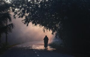 Dagens Horoskop - Tyren 02-07-2026