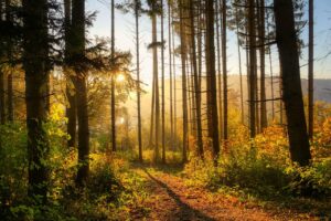 Dagens Horoskop - Jomfruen 23-08-2026