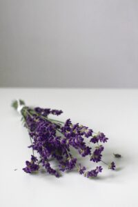 Dagens Horoskop - Vægten 25-08-2026