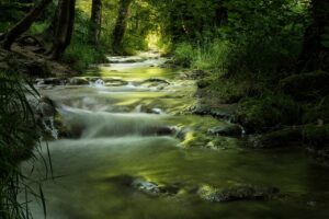 Dagens Horoskop - Tyren 03-08-2026