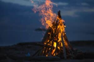 Dagens Horoskop - Tyren 19-08-2026