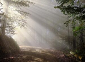 Dagens Horoskop - Krebsen 14-09-2026