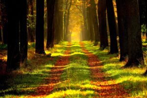 Dagens Horoskop - Skorpionen 01-09-2026