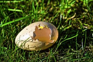 Dagens Horoskop - Tyren 03-09-2026