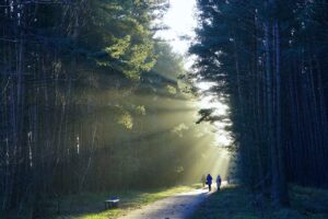 Dagens Horoskop - Tvillingen 03-09-2026
