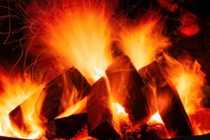 Dagens Horoskop - Tyren 06-09-2026