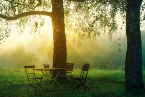 Dagens Horoskop - Tvillingen 08-10-2026