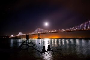 Dagens Horoskop - Tyren 16-10-2026